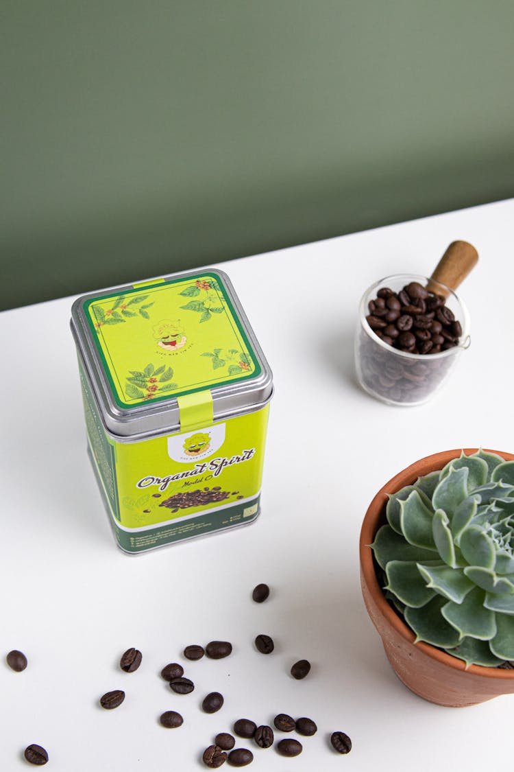 Coffee Beans Near Labeled Can And Succulent Plant On A White Surface