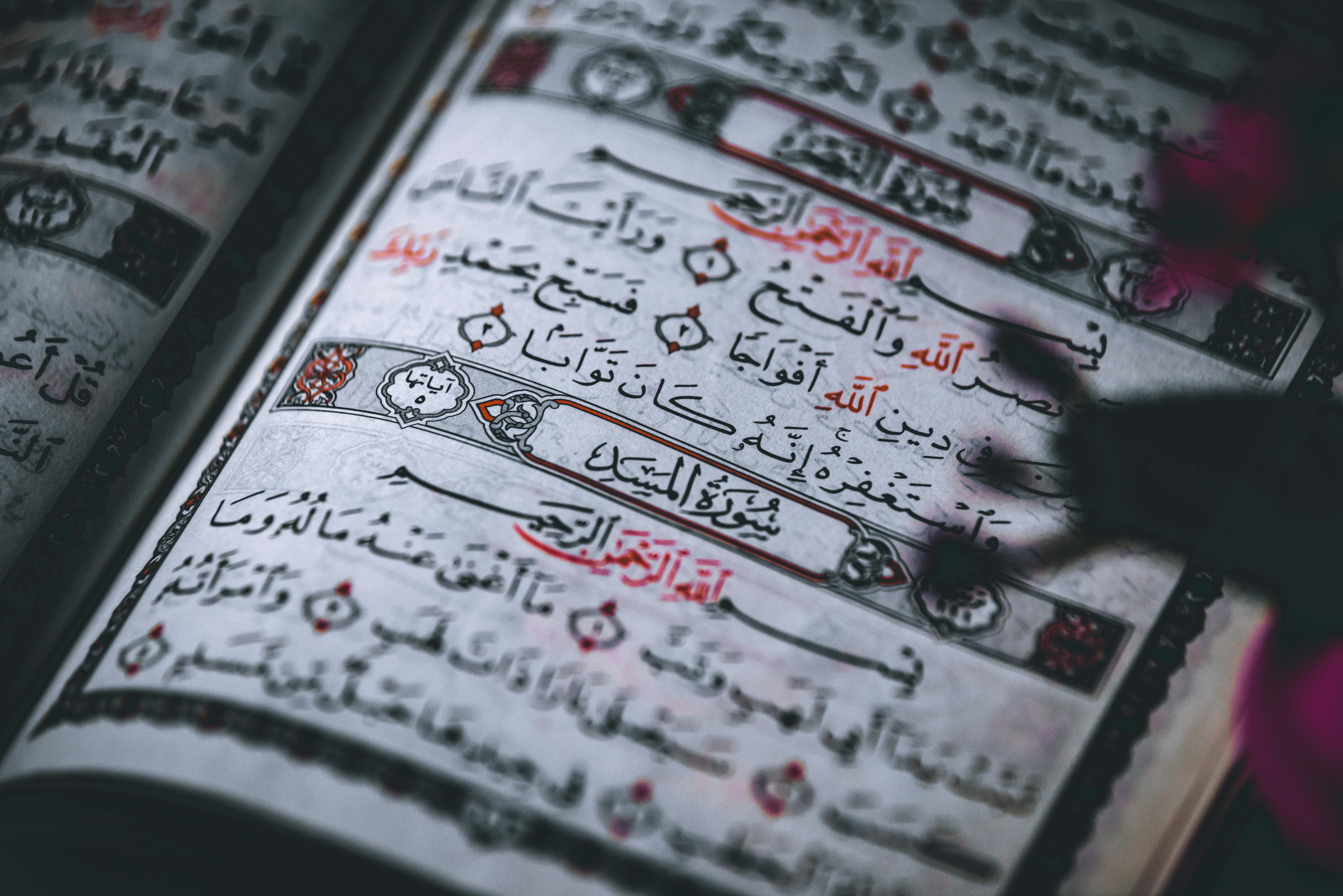 300+ general knowledge questions and answers for your next quiz — Photo by belal obeid on Pexels