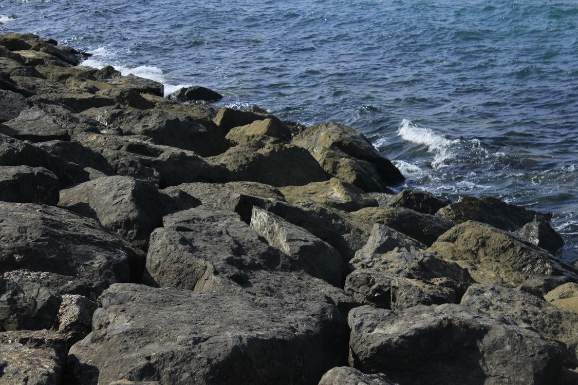 Gray Rocks on the Shore · Free Stock Photo