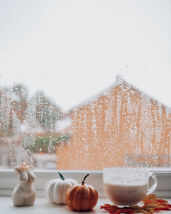 Fotobanka s bezplatnými fotkami na tému dážď, hygge, jeseň