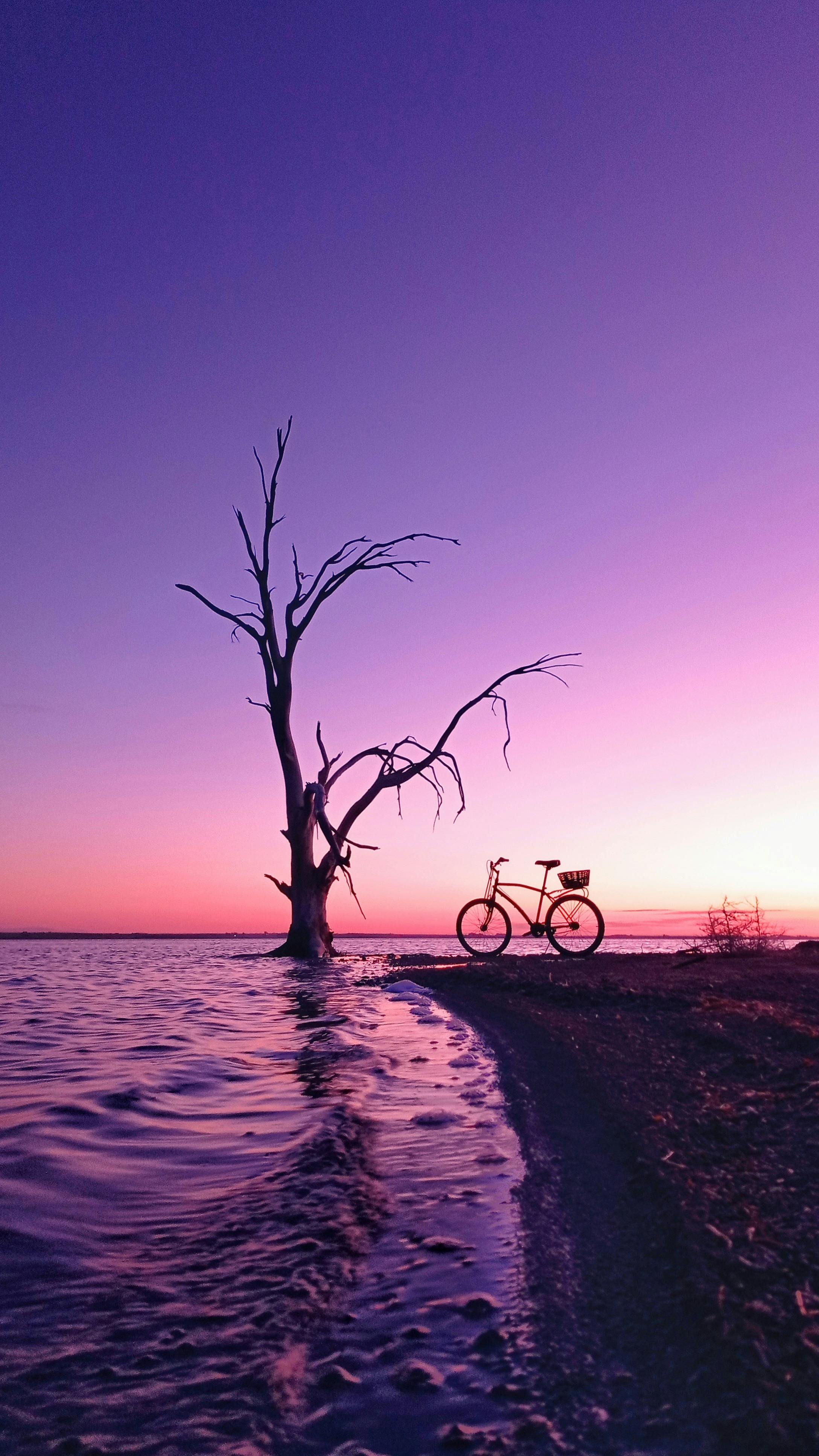 bicycle on parked on the shore