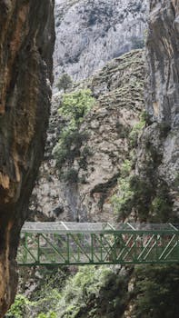 Majestic view of a green bridge amid rocky cliffs in Picos de Europa, Spain.