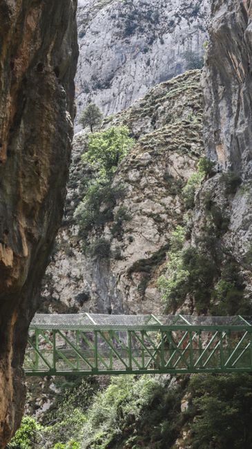 Majestic view of a green bridge amid rocky cliffs in Picos de Europa, Spain.