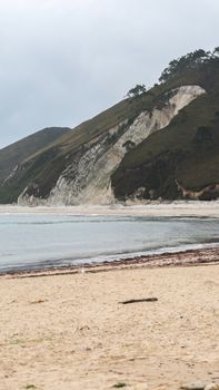 A serene beach with gentle waves and lush green hills under a cloudy sky.