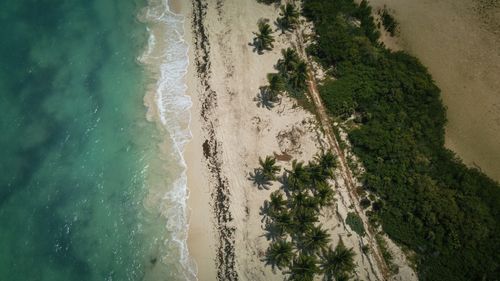 Free A stunning aerial view of a pristine tropical beach lined with palm trees and turquoise waters. Stock Photo
