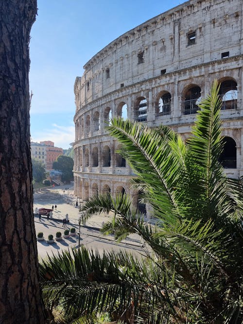 Ingyenes stockfotó Colosseum, függőleges lövés, nevezetesség témában Stockfotó