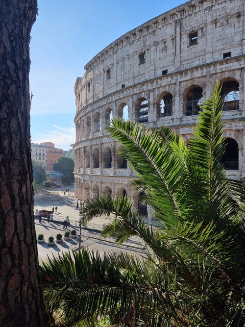 Free View of the Colosseum in Rome framed by trees, a blend of ancient and nature. Stock Photo