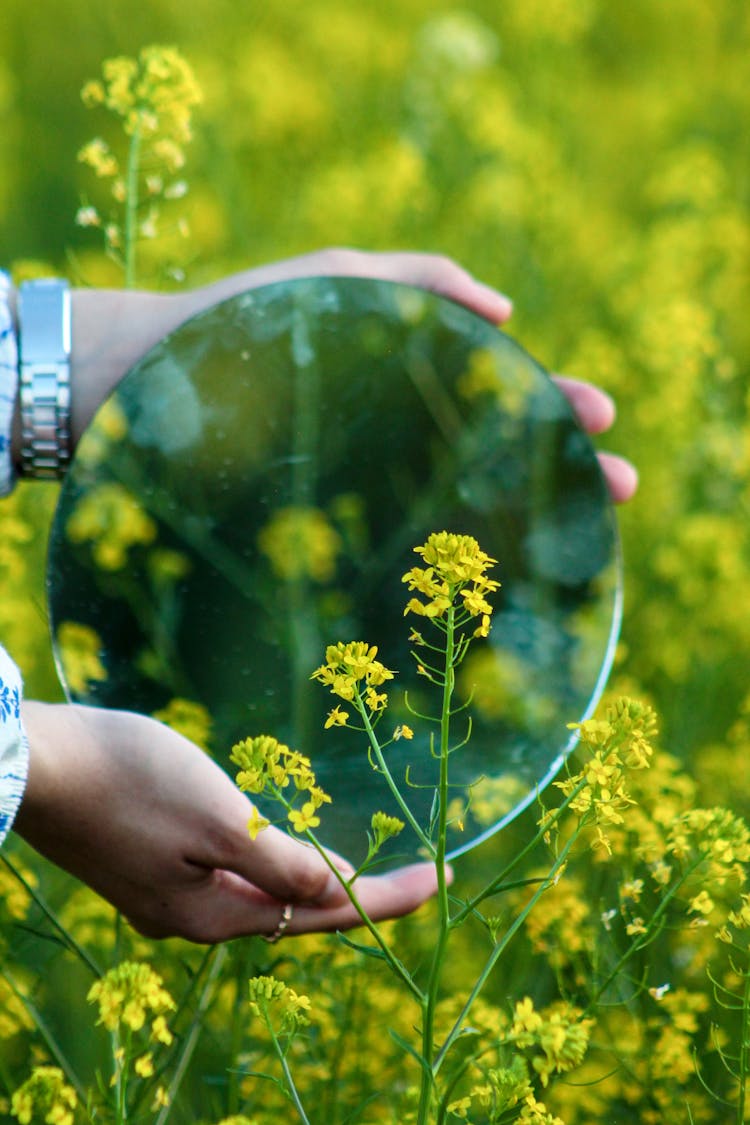 A Person Holding A Round Mirror