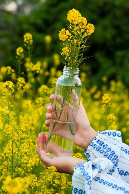 A Woman Holding a Clear Bottle Used as Flower Vase
