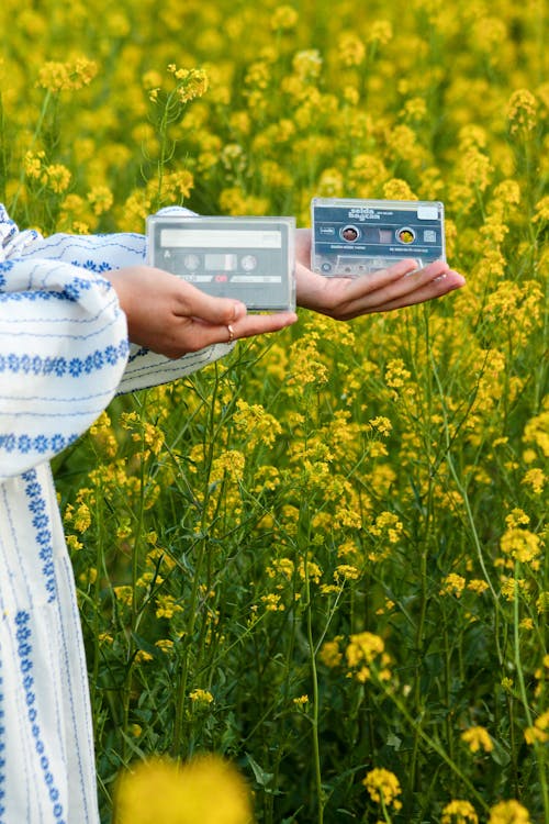 A Person Holding Cassette Tapes on Yellow Flower Field