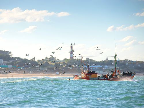 Free Fishing boat with seagulls near Mar del Plata lighthouse on a sunny day. Stock Photo