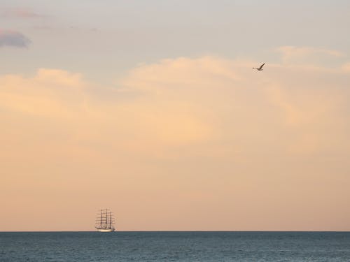 Kostnadsfria Kostnadsfri bild av gryning, hav, segelbåt Stock foto