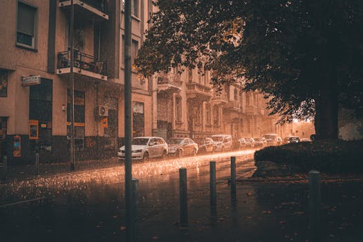 A moody urban street scene captured during rainfall, showcasing parked cars and architecture.