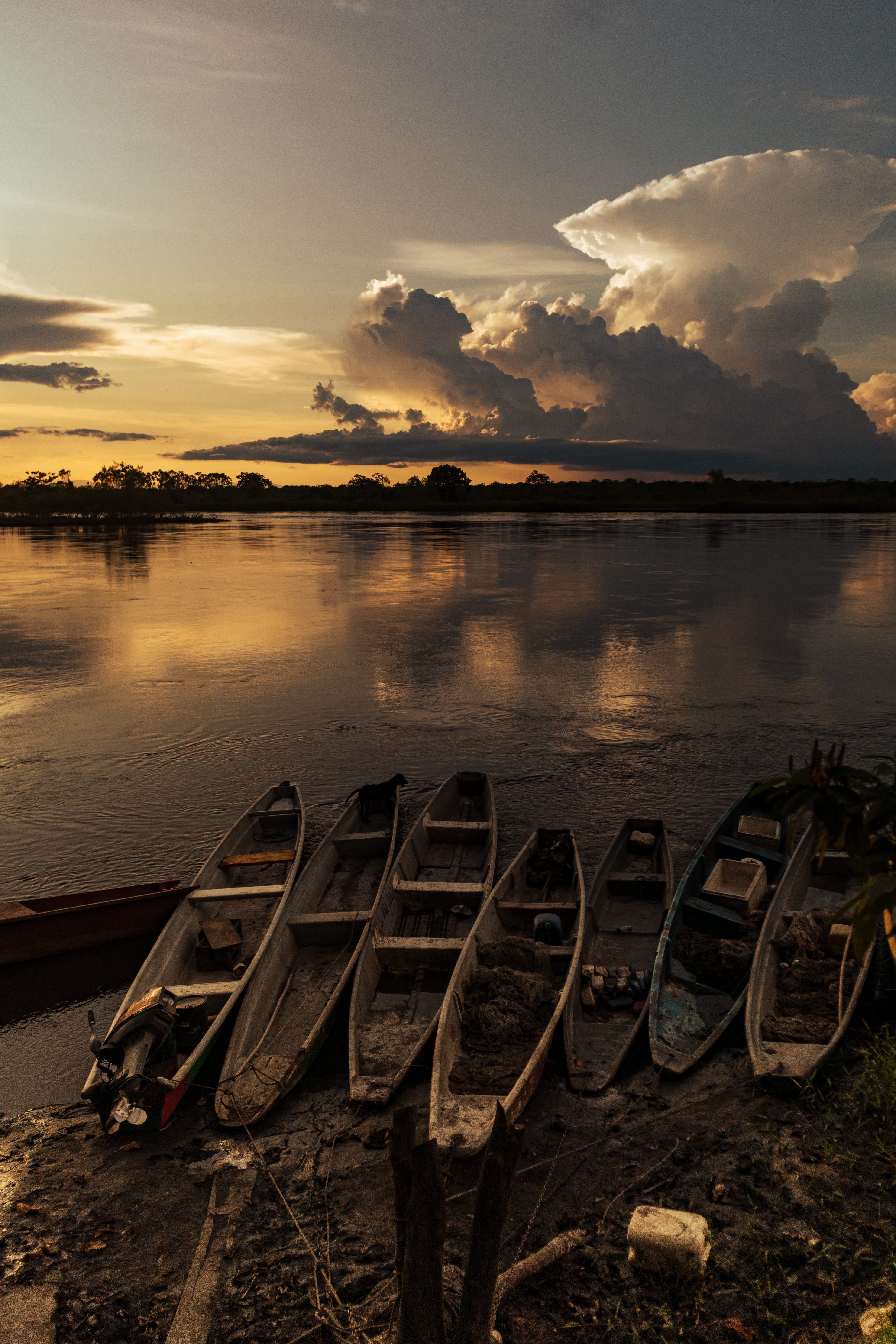 Rustic boats on a riverbank at sunset in Puerto Parra, showcasing serene Colombian landscapes.