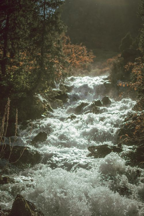 Photo of a Fast-Moving River · Free Stock Photo