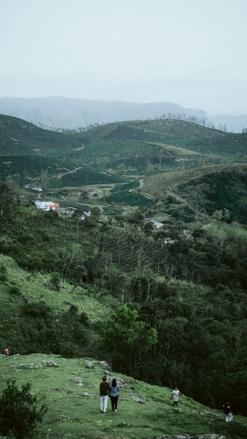 An Aerial Photography of Green Trees and Mountains