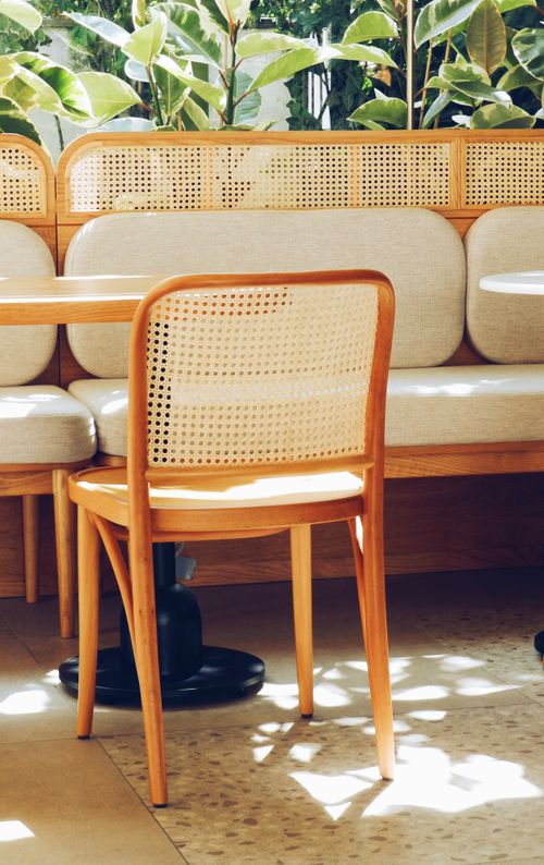 Free Elegant cafe seating area featuring a wooden chair, cushioned sofa, and indoor plants, perfect for a cozy setting. Stock Photo