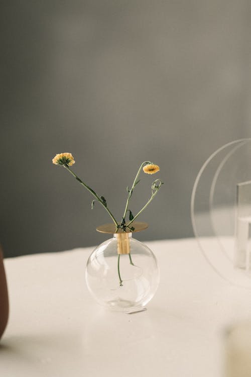 Foto profissional grátis de compacto, copo, flores amarelas