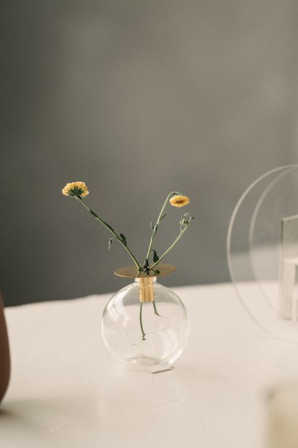 A delicate yellow flower in a minimalist glass vase on a soft-focus background.