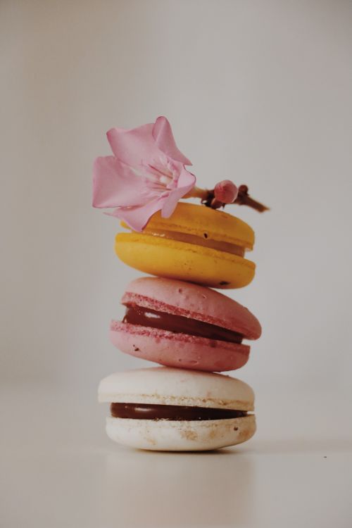 Free Stacked colorful macarons with a pink flower on a white background; elegant and sweet. Stock Photo