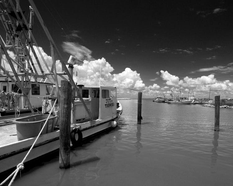 Boats Docked In Port