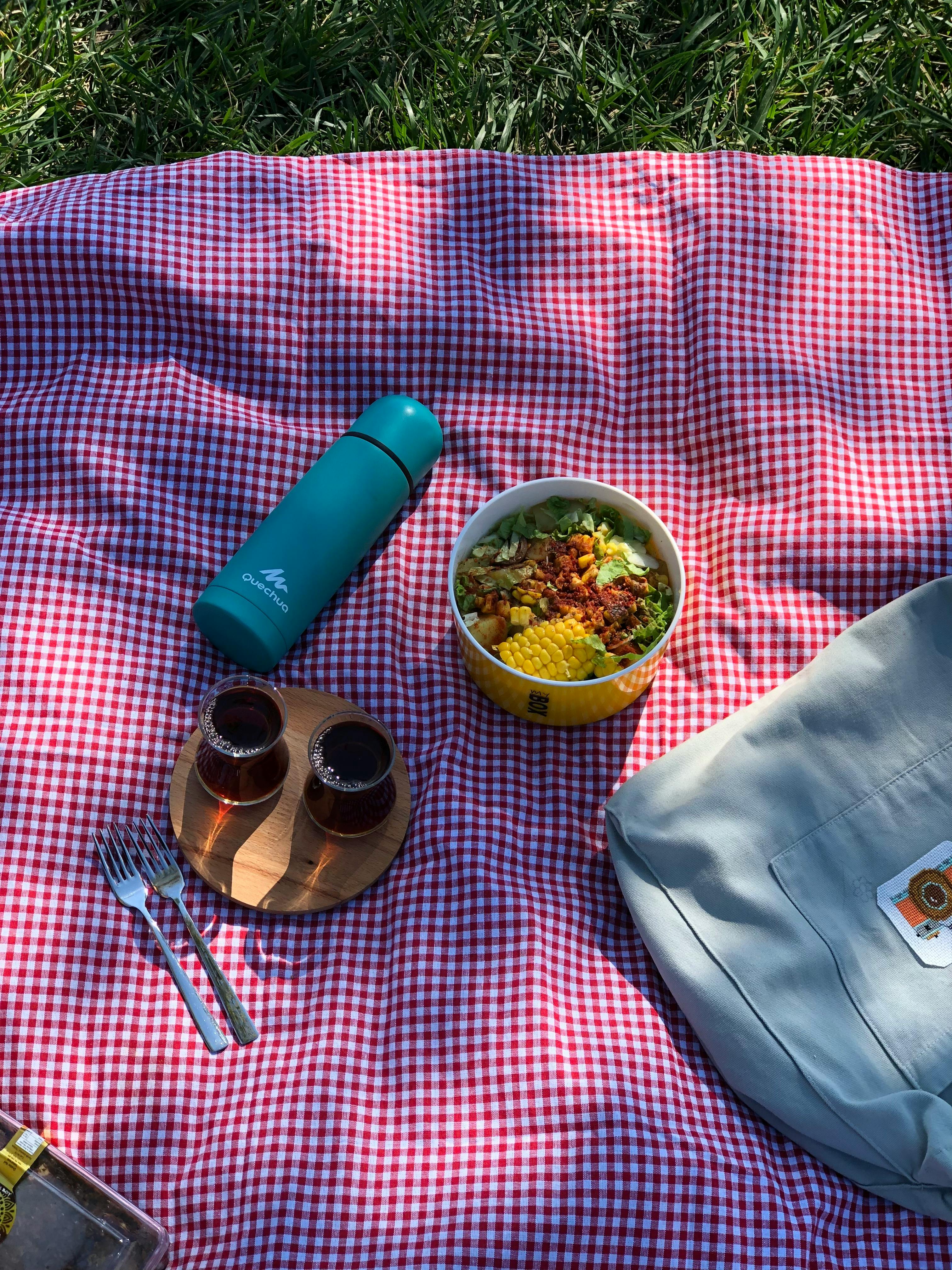 Quechua best sale picnic blanket