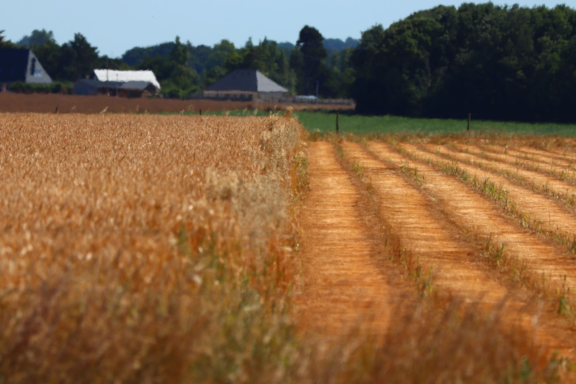 USDA bought nearly $7.9 million in frozen ground beef for government food donations