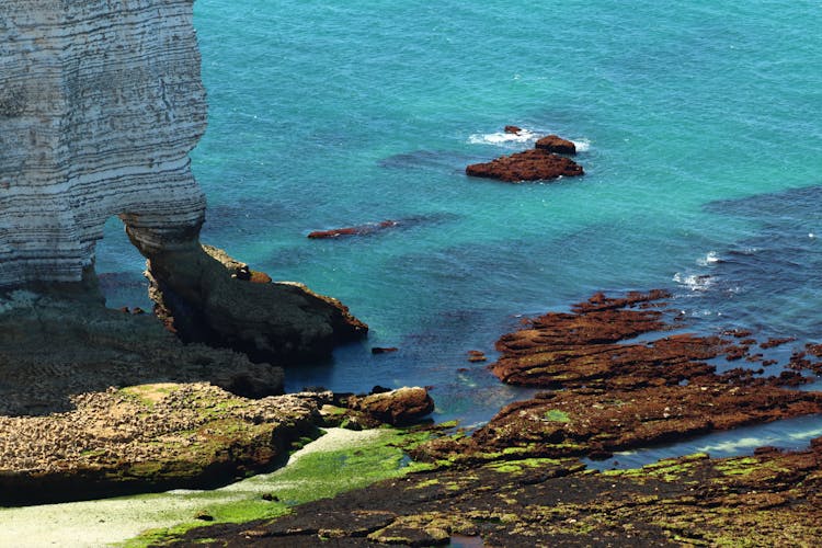 Green And Brown Rock Formation On Sea