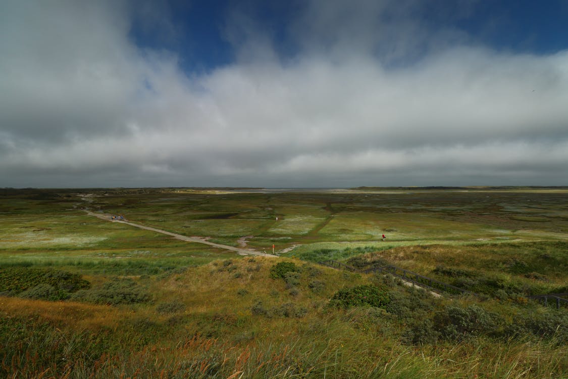 A Landscape in the Countryside