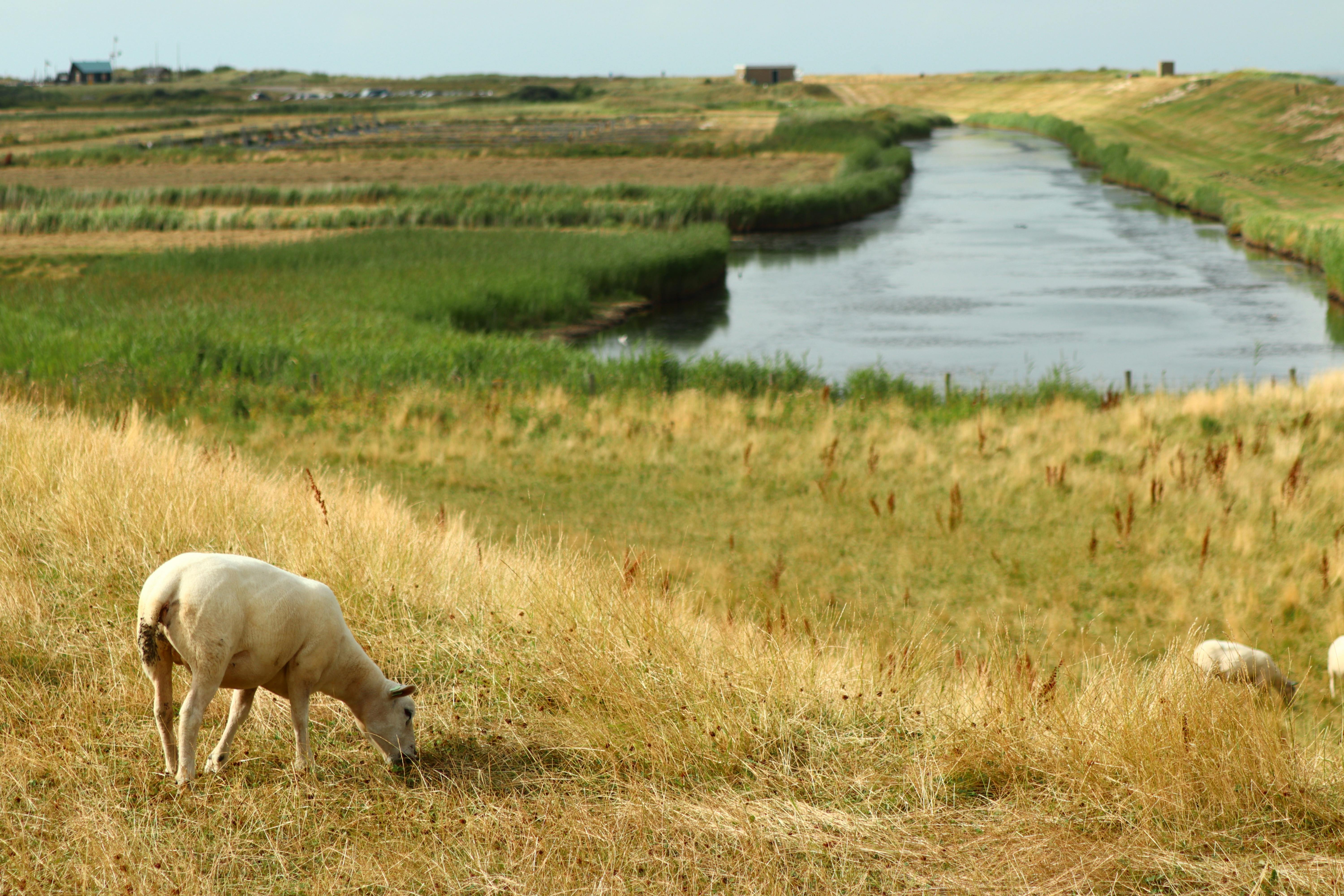 Photo by Frederic Hancke