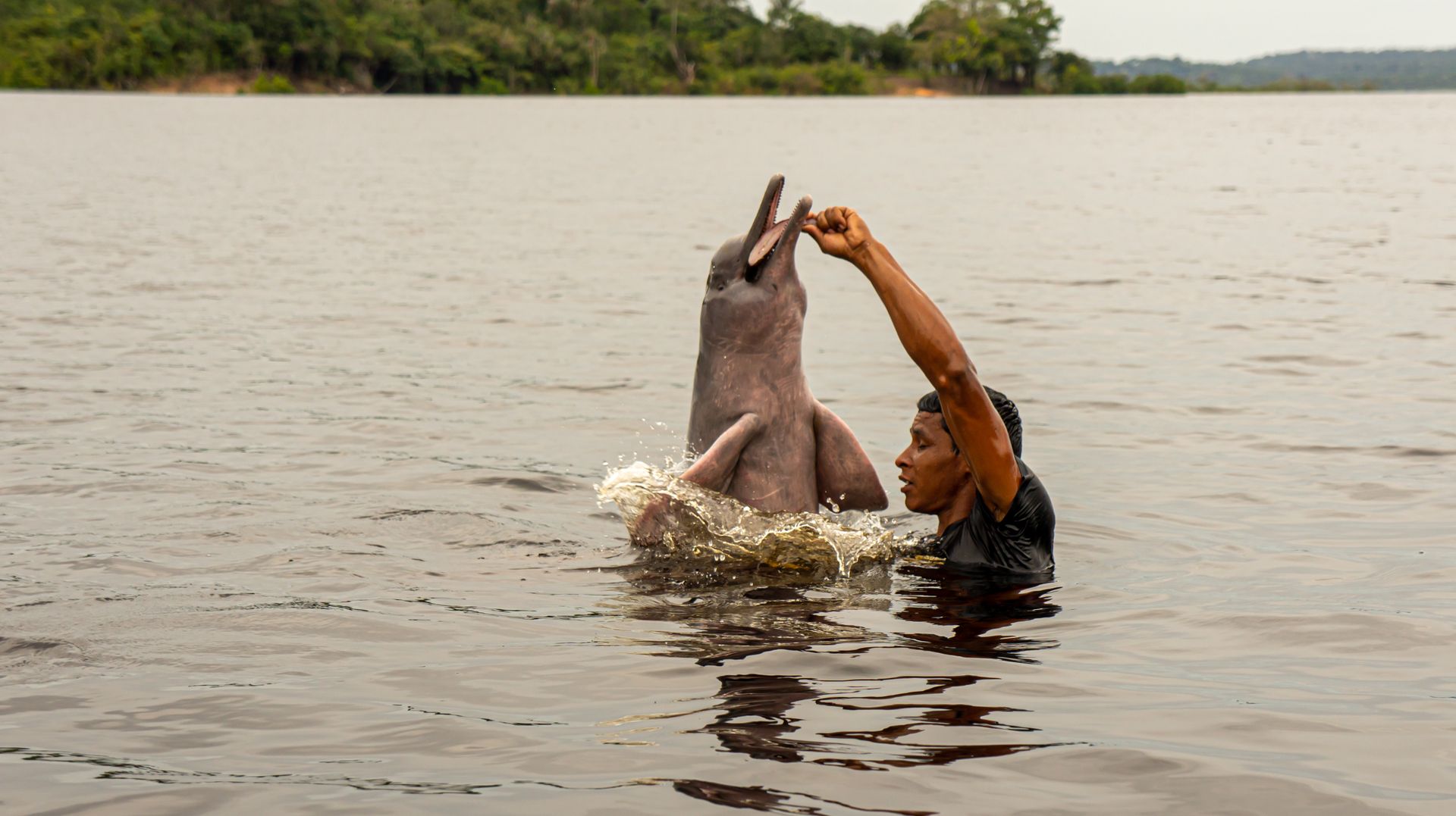 A man joyfully interacts with a friendly dolphin in a serene river setting.
