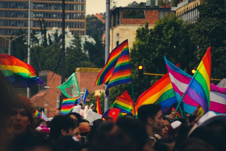 A People Holding A Rainbow Flags