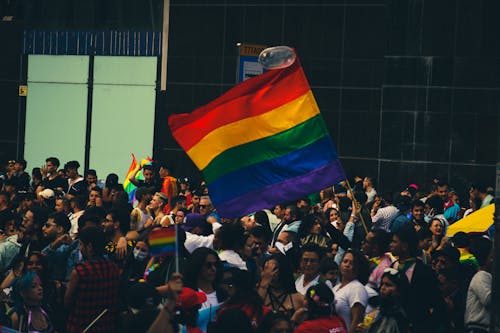 Fotos de stock gratuitas de bandera arcoiris, comunidad lgbt, encuentro