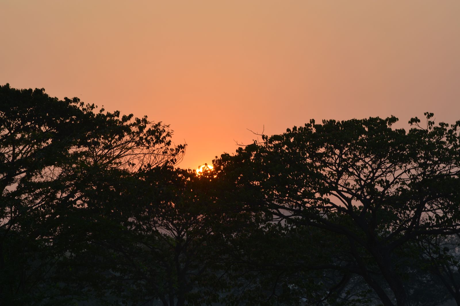 Solar Energy