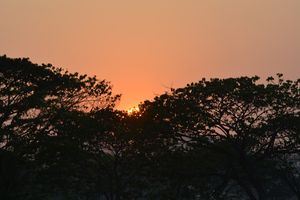 Solar 2