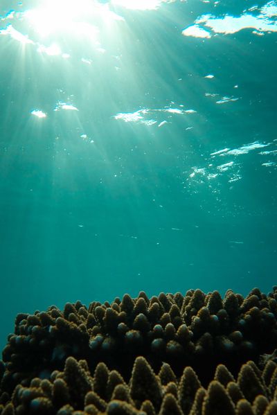Underwater light rays by Francesco Ungaro on Pexels