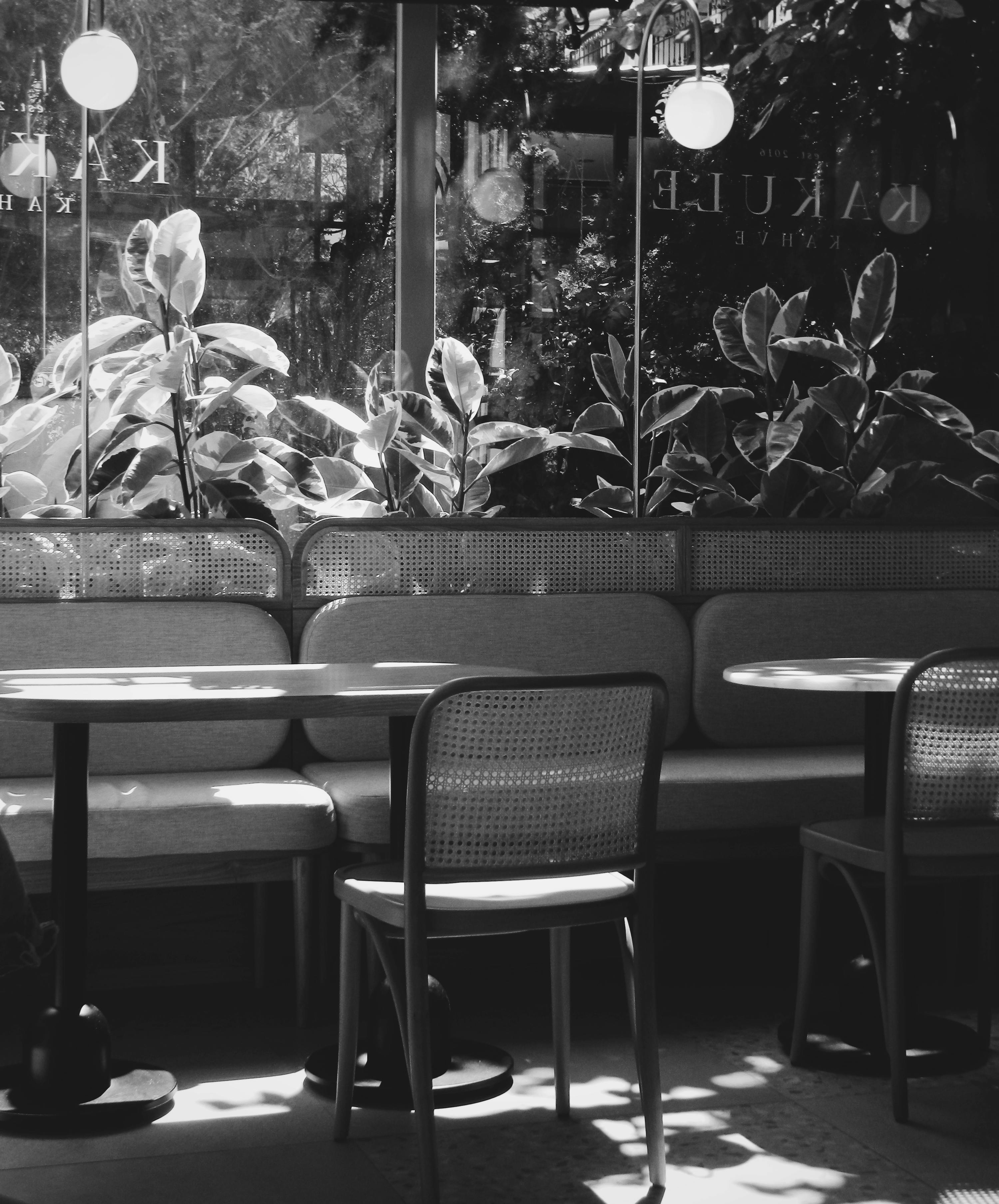 Monochrome photo of a cafe interior with chairs, tables, and lush plants.