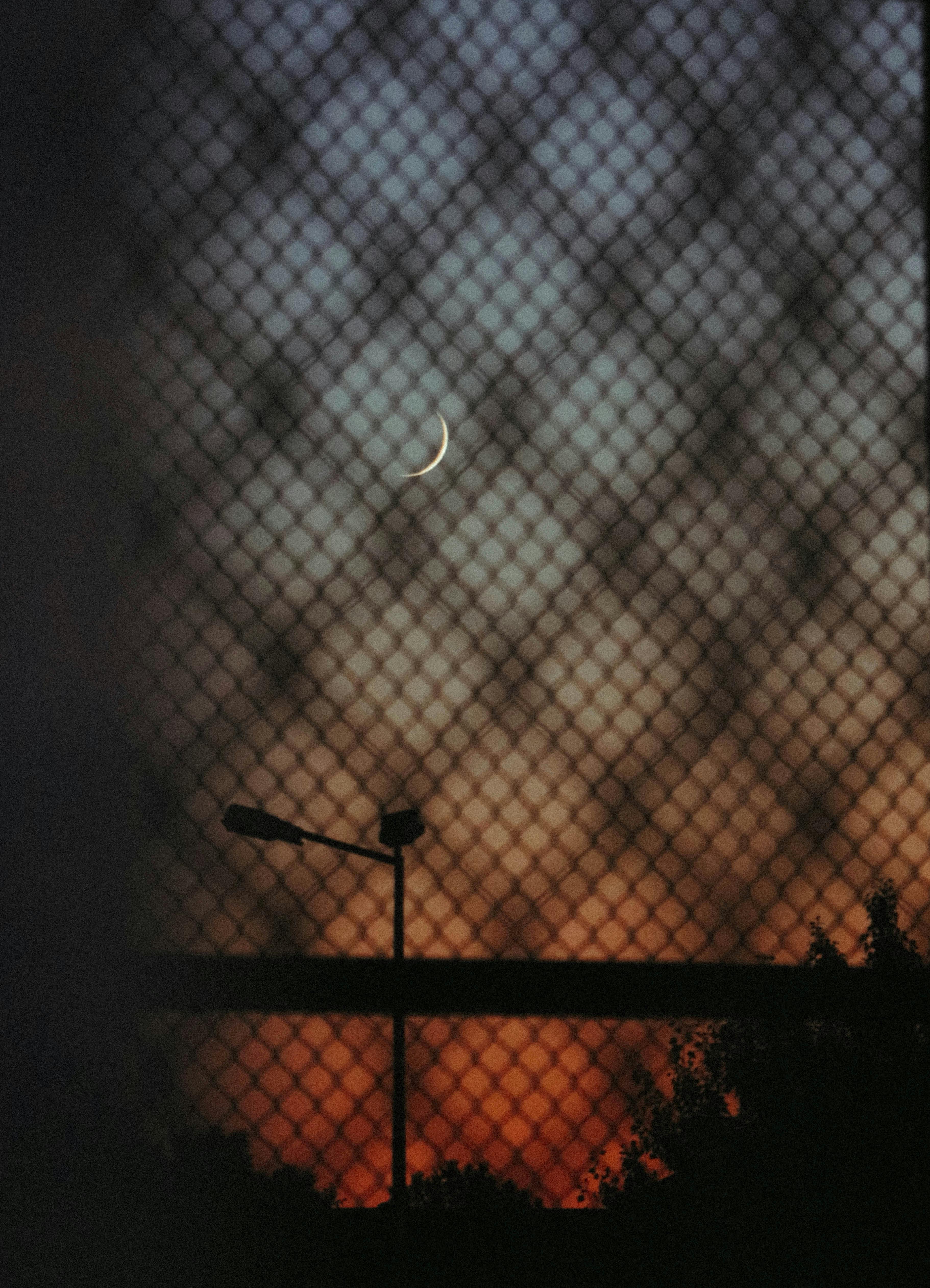 Are metal sheds resistant to rodents?