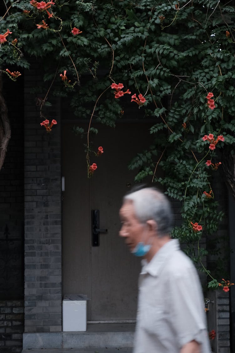 Old Man Walking Near House With Plants