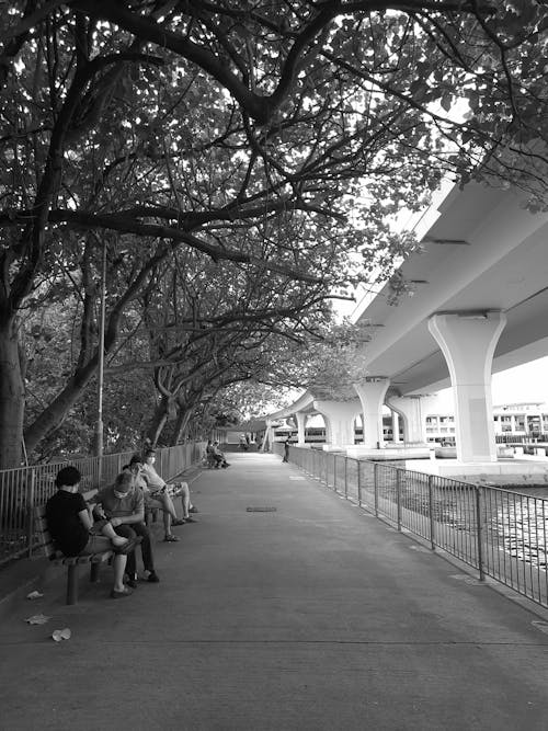 Grayscale Photo of People Sitting on Sidewalk