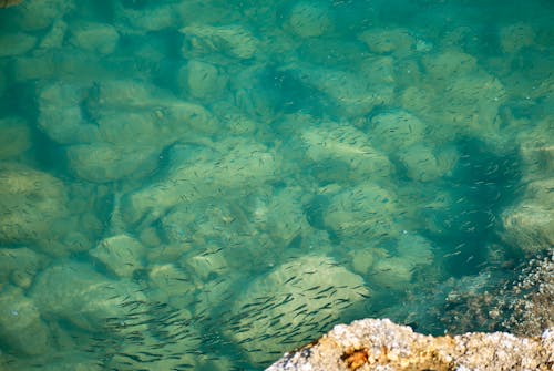 土耳其藍, 岩石, 岸邊 的 免费素材图片