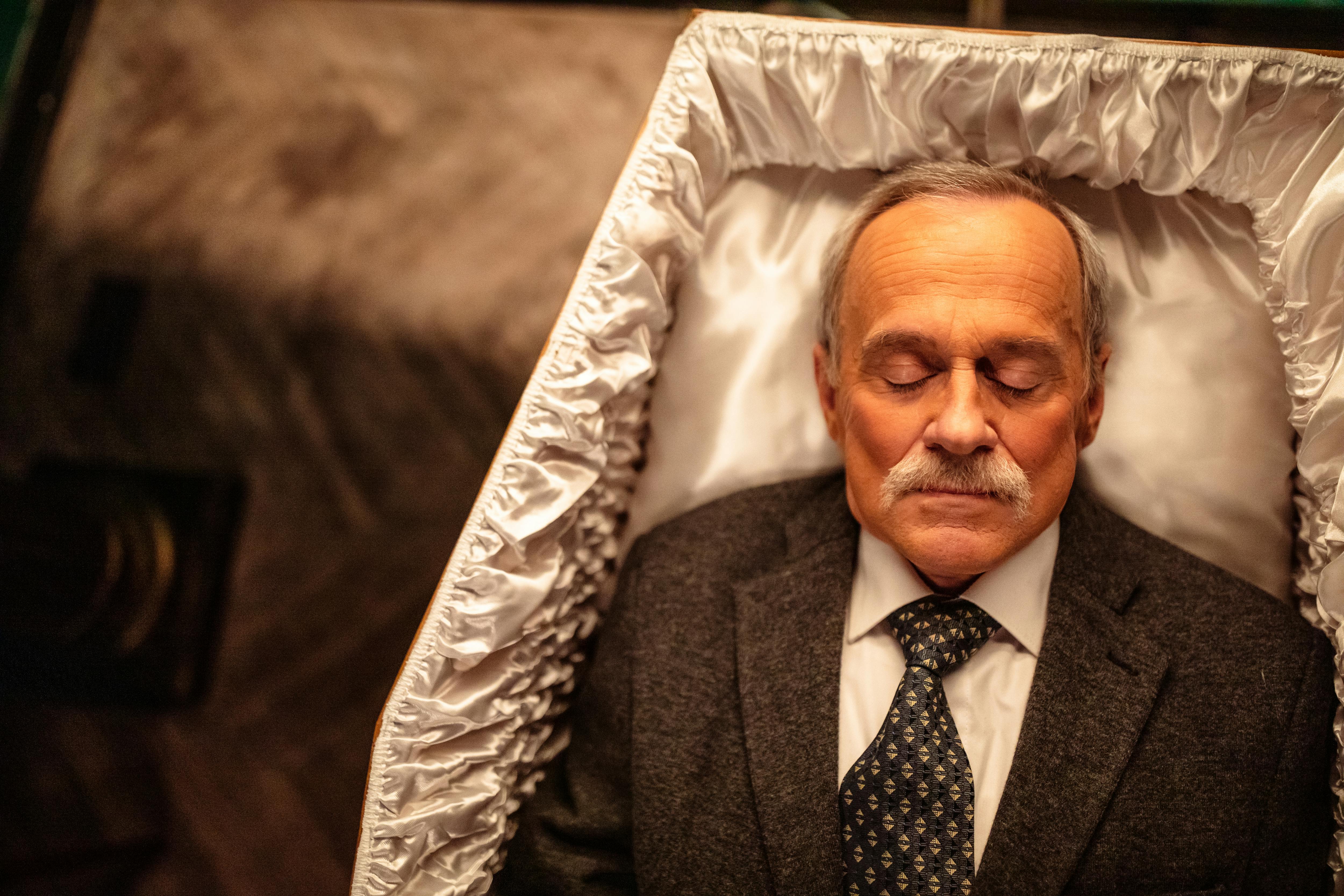 [Imagen: pexels-photo-13564656.jpeg?auto=compress...rop&w=1200]