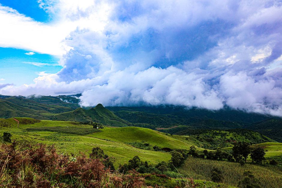 Mambilla Plateau, Nigeria - travel photo