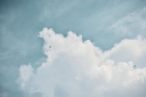 Základová fotografie zdarma na téma létání, modrá obloha, mraky