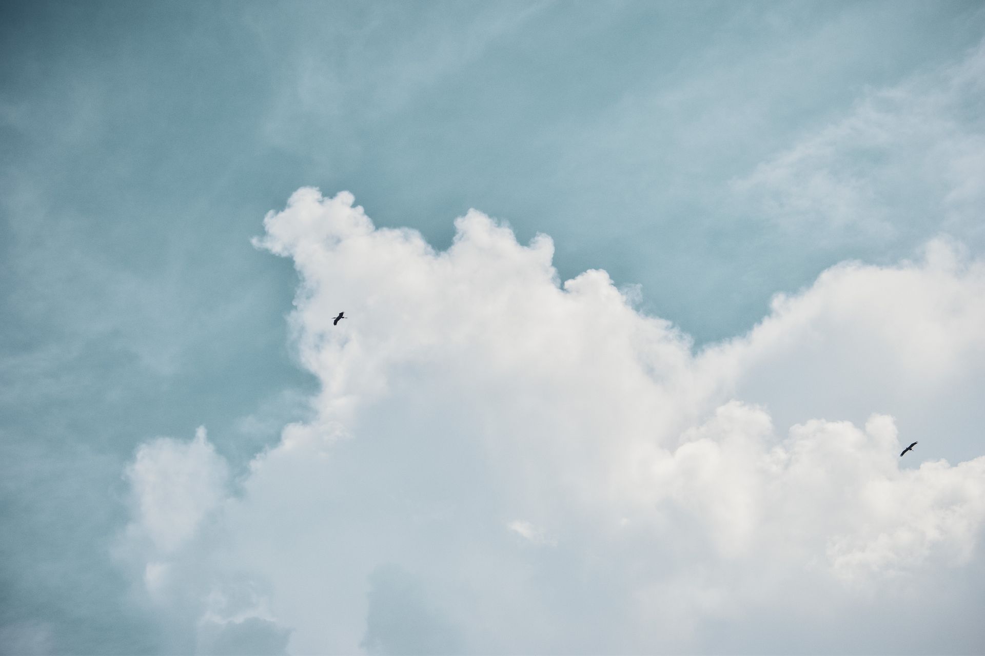Majestic clouds and birds in flight over Campeche, Mexico sky.