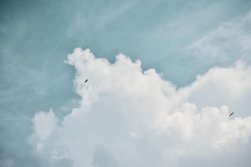 Free Majestic clouds and birds in flight over Campeche, Mexico sky. Stock Photo