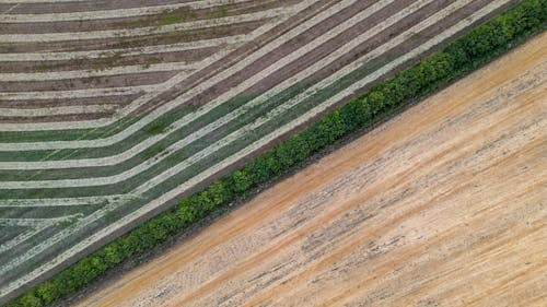 Aerial Shot of Cultivated Fields