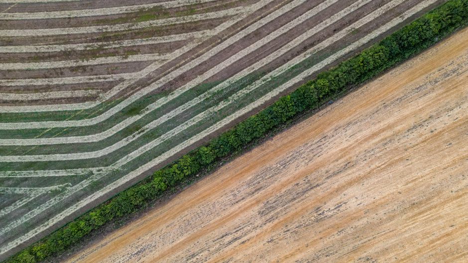 P.E.I. Farmers Are Using Drones to Plant Fields Weeks Earlier