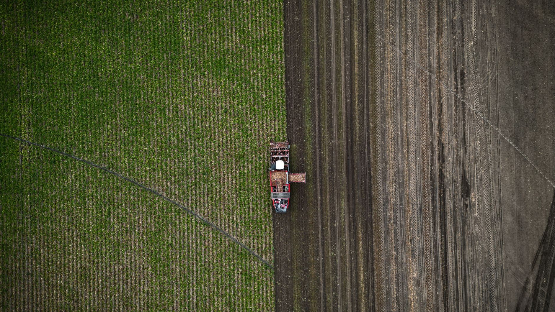 Canada, Ireland Join Forces on AI, Tech, and Food Security