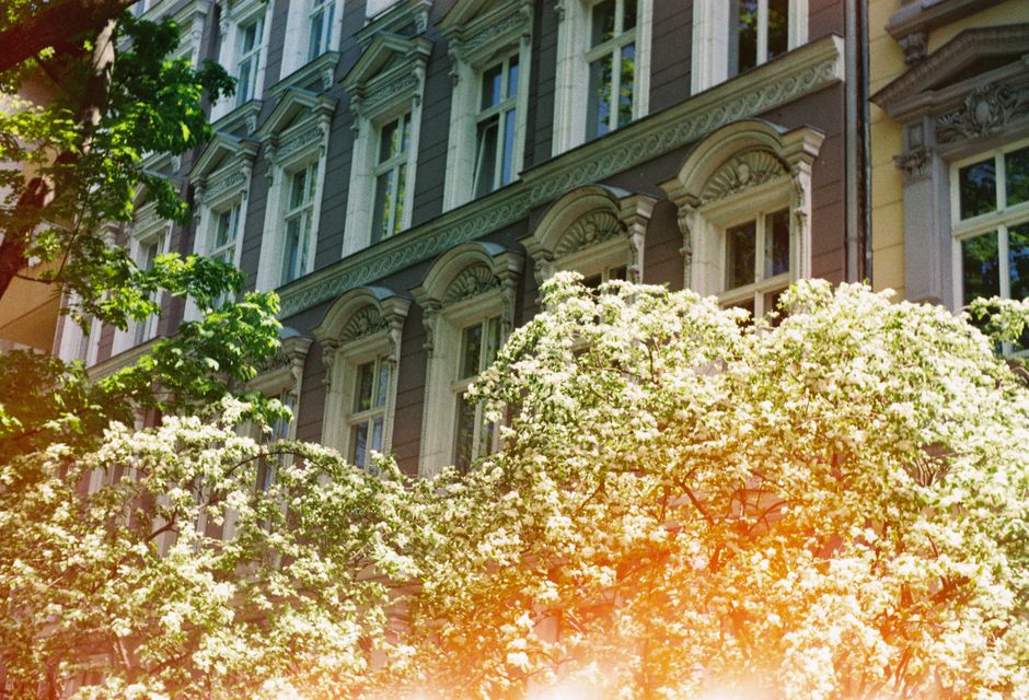 Charming Berlin tenement with trees in full bloom. Captivating springtime ambiance.